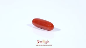 Red Coral - 3.6 Carat