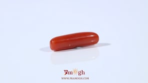 Red Coral - 3.8 Carat