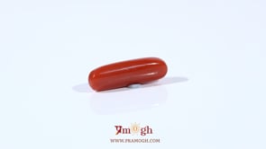 Red Coral - 3.25 Carat