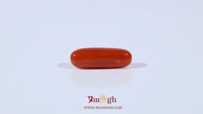 Red Coral - 3.2 Carat