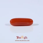 Red Coral - 3.2 Carat