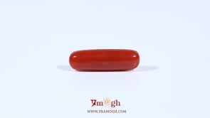 Red Coral - 3.37 Carat