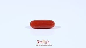 Red Coral - 3.29 Carat