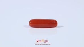 Red Coral - 3.75 Carat
