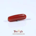 Red Coral - 3.1 Carat