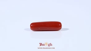 Red Coral - 4.2 Carat