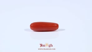 Red Coral - 3.2 Carat