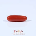 Red Coral - 3.2 Carat