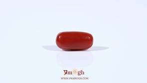 Red Coral - 2.55 Carat