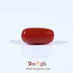 Red Coral - 2.55 Carat
