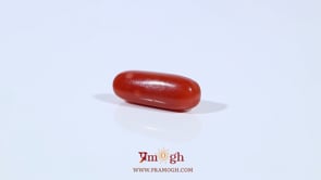 Red Coral - 3.37 Carat
