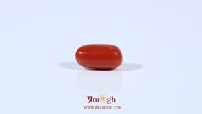 Red Coral - 2.65 Carat