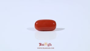 Red Coral - 2.4 Carat