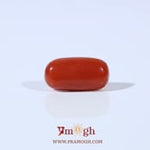Red Coral - 2.4 Carat