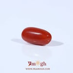 Red Coral - 2.23 Carat