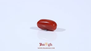 Red Coral - 2.5 Carat