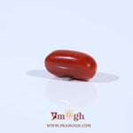 Red Coral - 2.5 Carat