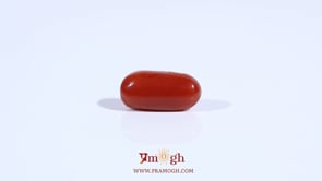 Red Coral - 2.6 Carat