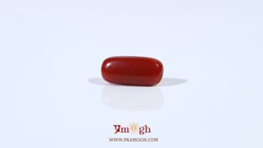 Red Coral - 2.5 Carat