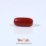 Red Coral - 2.5 Carat