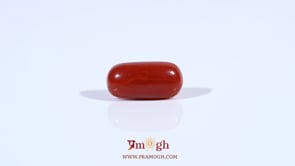 Red Coral - 2.55 Carat