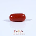 Red Coral - 2.55 Carat