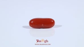 Red Coral - 2.75 Carat