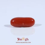 Red Coral - 2.75 Carat