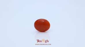 Japanese Red Coral - 2.25 Carat