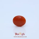Japanese Red Coral - 2.25 Carat