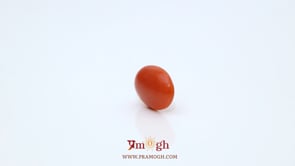 Japanese Red Coral - 2.85 Carat