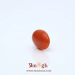 Japanese Red Coral - 2.85 Carat