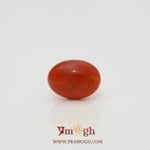 Japanese Red Coral - 3.05 Carat