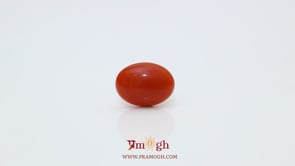 Japanese Red Coral - 2.83 Carat
