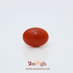 Japanese Red Coral - 2.83 Carat