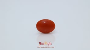 Japanese Red Coral - 2.8 Carat