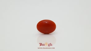 Japanese Red Coral - 2.35 Carat