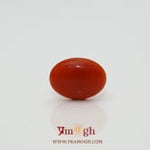 Japanese Red Coral - 2.35 Carat