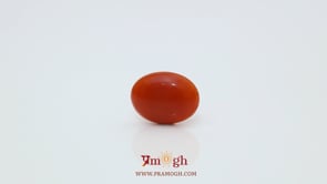 Japanese Red Coral - 2.42 Carat