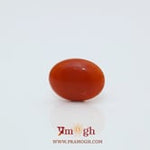 Japanese Red Coral - 2.42 Carat