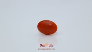Japanese Red Coral - 2.65 Carat