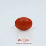 Japanese Red Coral - 2.6 Carat