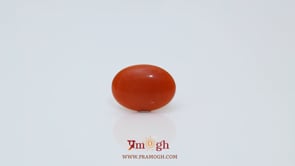 Japanese Red Coral - 2.05 Carat