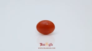 Japanese Red Coral - 2.8 Carat