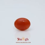 Japanese Red Coral - 2.8 Carat