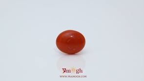 Japanese Red Coral - 2.6 Carat