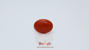 Japanese Red Coral - 2.18 Carat