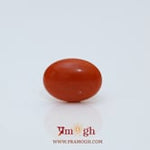 Japanese Red Coral - 2.65 Carat