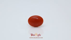 Japanese Red Coral - 2.45 Carat