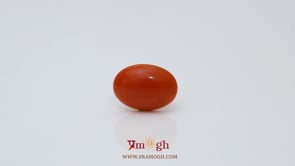 Japanese Red Coral - 2.58 Carat